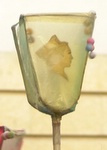 la pégoulado 2006