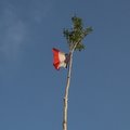Tradition du "Mai" dans le Gard
