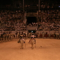 Pegoulado 2008