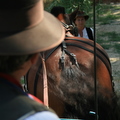 Journée à l'ancienne 2008 d'Eyguières