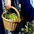Fête des Olives vertes 2008