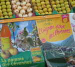 La pomme et l'oignon