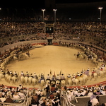 Pegoulado 2011