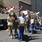 Saint Eloi 2011 à Mollégès