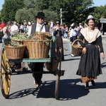 40e Fête des Olives de Mouriès