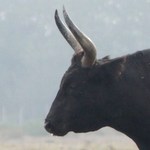 Un jour au Grand Radeau