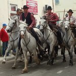 Le Concours d'Abrivado de Vauvert 2013