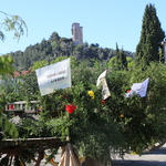 Les Charrettes réunies à Châteaurenard