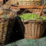 41e Fête des Olives vertes de Mouriès