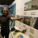 Musée de la Camargue