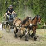 Concours Li Barrulaire 2014