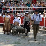 Foire aux Chevaux 2014