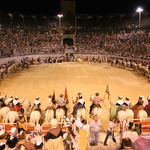 Pegoulado 2015