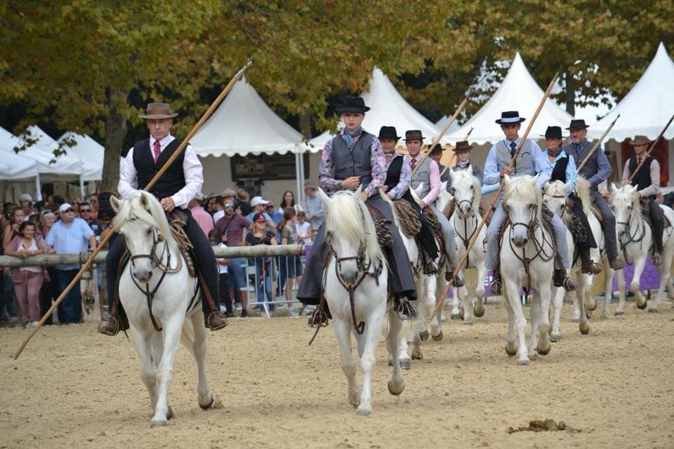 Fête du cheval